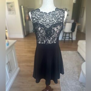 Trixxi Tan and Black Lace Dress